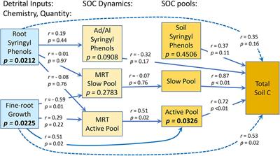 Tree Species of Wet Tropical Forests Differ in Their Tissue Biochemistry and Effects on Soil Carbon Dynamics